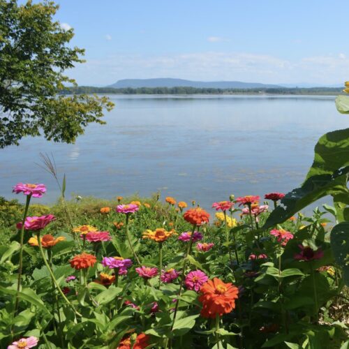 Lake Champlain (Credit: Beryl Reneau)